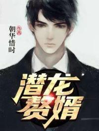 潜龙神婿免费