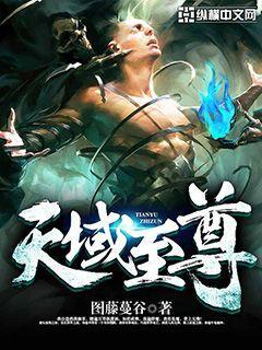 天域至尊官方入口