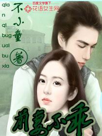 前妻不好追免费阅读