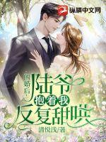 闪婚独宠陆少有点狂