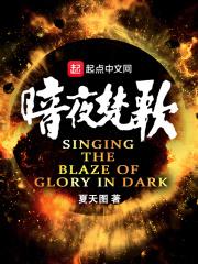 暗夜协奏曲 百科