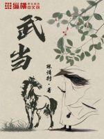 武当山多高海拔多少米