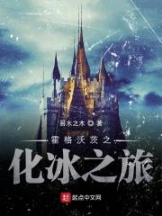 霍格沃滋之谜