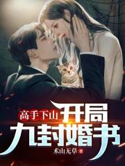 高手下山开局九封婚书有几个女主