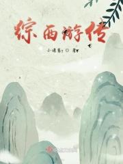 综穿西游记孔雀