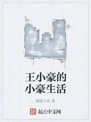 有关王豪的
