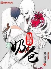 骷髅奶爸讲的什么的内容