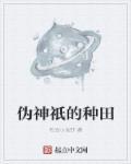 伪神300