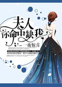 一夜惊喜夫人你命中缺我全本免费楼安安