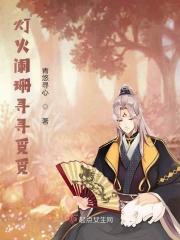 灯火阑珊处是哪首歌的歌词