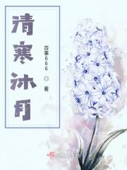 女主沐清韵免费阅读