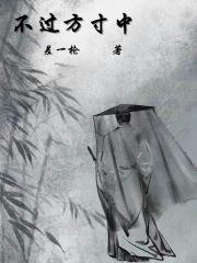 方寸不立一尘