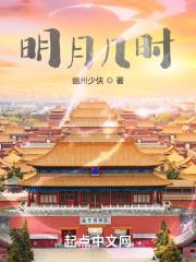 明月几时有谁写的