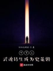 武魂进化系统
