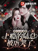 陆总他追妻火葬场