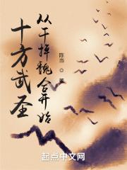 十方武圣手机免费阅读