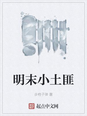 明末小土匪电影