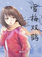 雪梅双鹤图的寓意