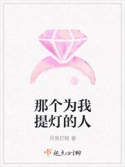 那个为我提灯的人500字作文