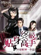 终极高手全文免费