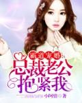 霸道总裁老公求抱抱