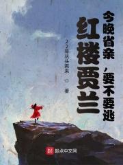 红楼梦 贾兰