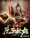 红楼之庶子称雄 林羽乐