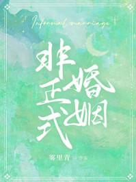 非正式婚姻by雾里青讲的什么