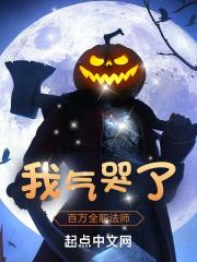 全职法师之萧枫百度