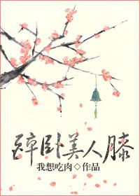 醉卧美人膝电视剧100集