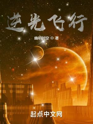逆光飞行的作品