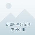 瘟疫轻刺刃配件搭配