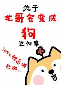 龙哥作品