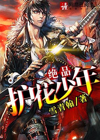 绝品护花高手凌风