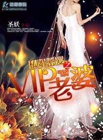 私婚密爱大结局是什么