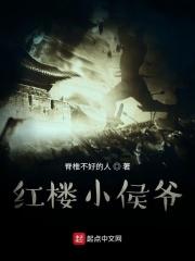 红楼梦小侯爷是谁