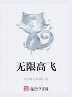 无限飞价格