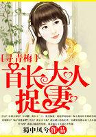 首长大人请轻宠
