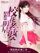 我的明星老婆们全文免费