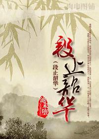段止韶华的全文