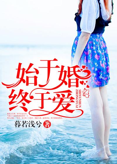 始于爱终于婚免费阅读
