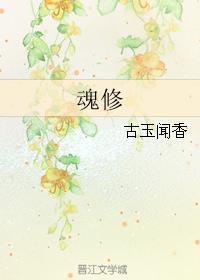 魂修罗现代金属属性