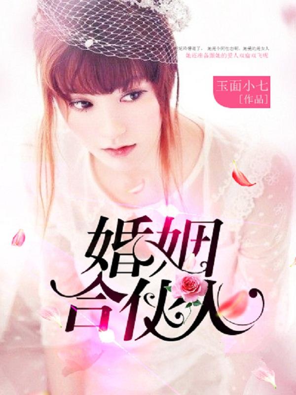 婚姻合伙人图片