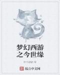梦幻西游前世今生2最新攻略