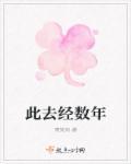 此去经年的经的意思