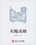 天地劫灵蕴石礼包