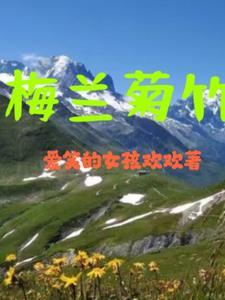 梅兰竹菊梅兰竹菊