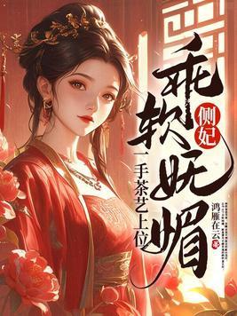 侧妃知乎