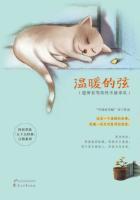 温暖的弦所有歌曲
