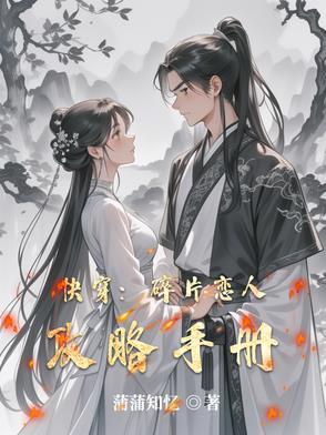 碎片是啥